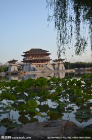 紫云楼远景