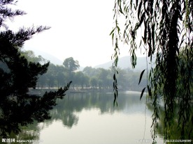 园林景色