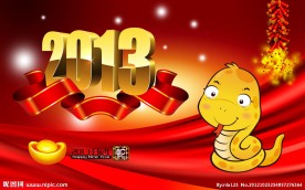 2013蛇年