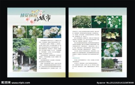 生活人文杂志内页