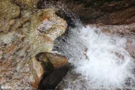 清水