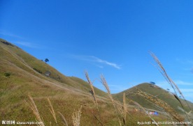 高山草甸