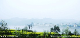 婺源风光