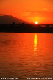 夕阳红
