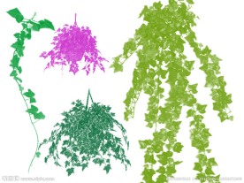 绿色树藤装饰笔刷
