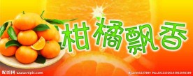 柑橘飘香