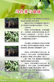 农业展板设计