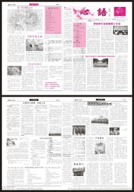 报刊设计
