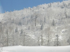 雪乡风景