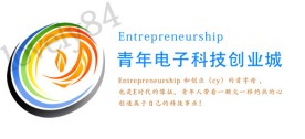 青年电子科技创业LOGO