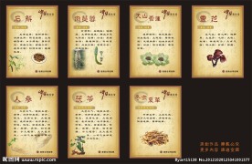 中医文化