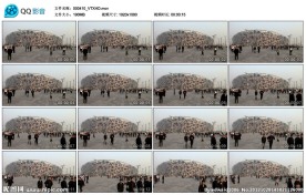 鸟巢高清实拍视频素材