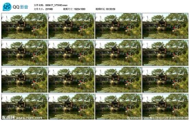 西湖美景高清实拍视频素材