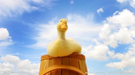 丑小鸭