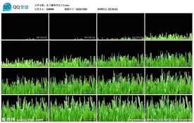 植物绿植生长高清实拍视频素材