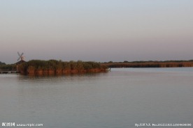 东营黄河口湿地