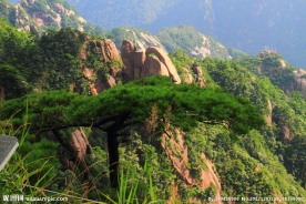 黄山风景