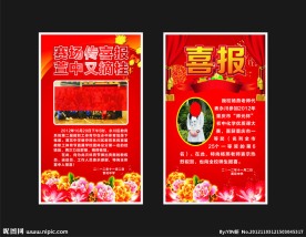 喜报 展板 牡丹花