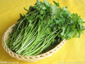香菜