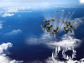 团结合作