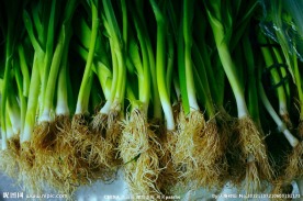 蔬菜 大蒜