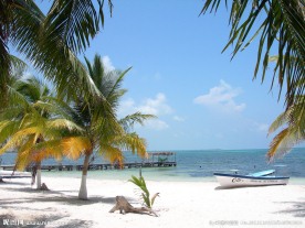 海南椰树沙滩风景图片