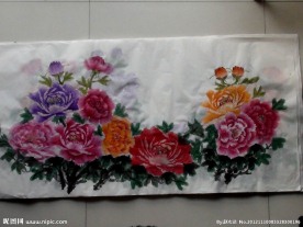 牡丹花开