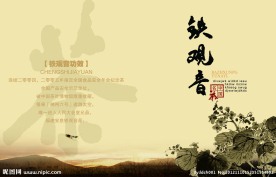 铁观音画册
