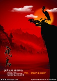 飛鸟