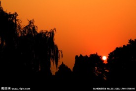 夕阳无限好