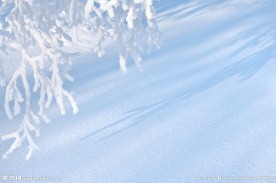 雪花