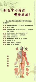 中医院展架psd分层