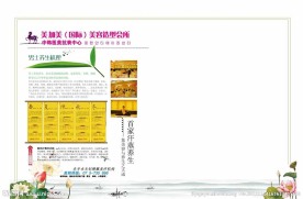 杂志画册板式设计