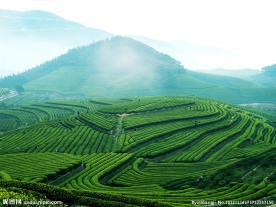 宁波四明山