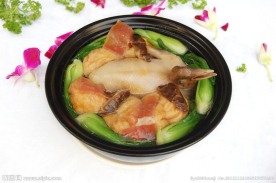 炖鸽子