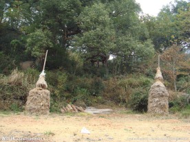 婺源