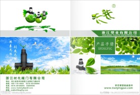 绿色画册封面