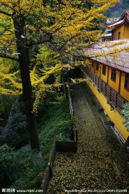 白岩寺