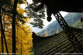 白岩寺