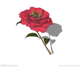 红花3D模型