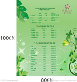 美容美体价目表