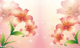 百合花移门