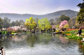太子湾美景