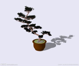 盆景3D模型