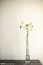 插花
