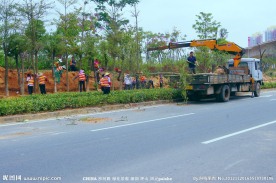 交通建设 道路绿化