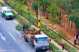 交通建设 绿化工程