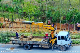 交通建设 绿化工程