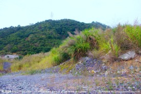 铁路建设 沿路风景