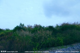 铁路建设 沿路风景